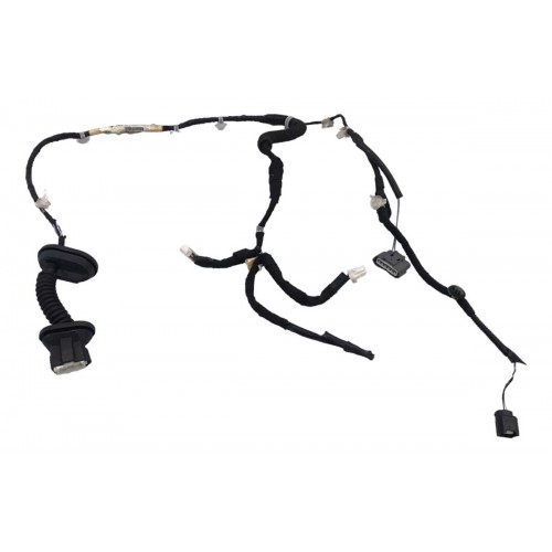 Chicote Porta Traseira Esquerda Nissan Kicks 17/21